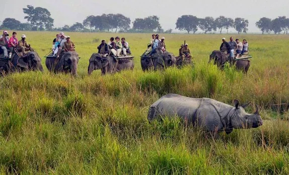 Kaziranga National Park Reopens