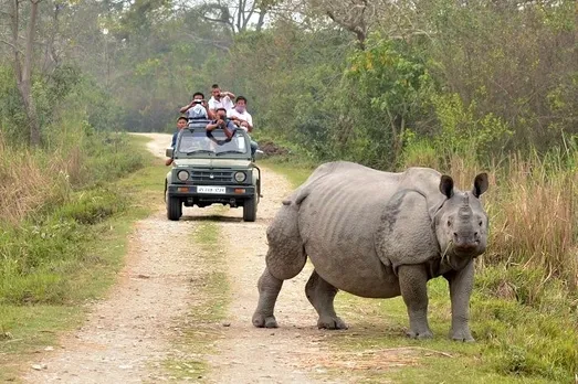 Orang National Park reopens