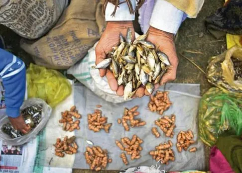 Famous Jonbeel Mela starts