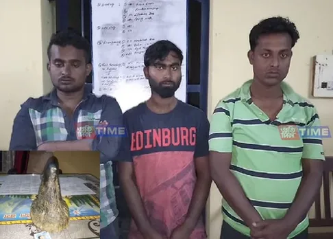 Three rhino poachers with horn detained