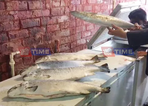 Salmon makes appearance for Bihu