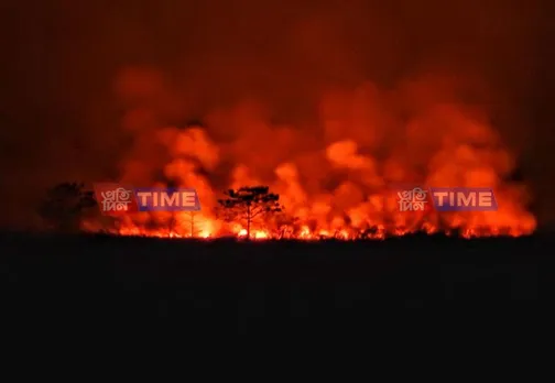 Massive Fire Breaks out Near Dibru-Saikhowa