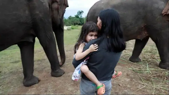 Elephant protects girl from others in herd