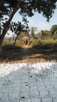 Army puts iron spike in elephant pathway, gets flak