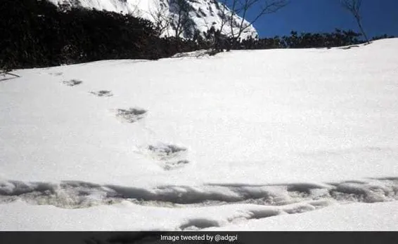 Indian Army tweets mysterious footprints of ‘Yeti’