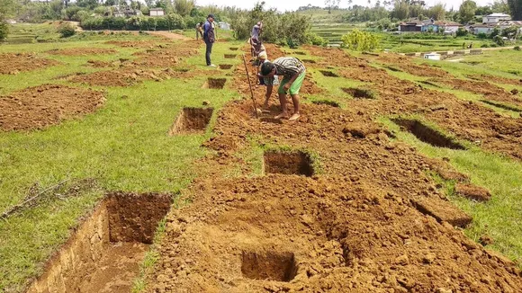 One citizen one tree campaign under GOM