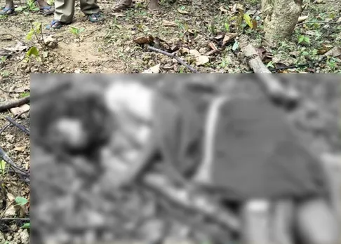 Elderly woman killed in wild elephant attack