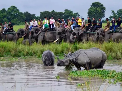 Kaziranga National Park Records Highest Tourist Footfall in 2021