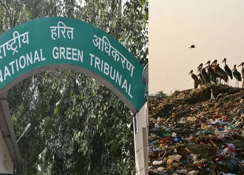 Pollution control board fined with Rs. 1 crore