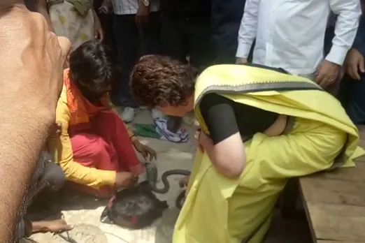 WATCH: Priyanka Gandhi’s Unusual Campaign holding Snake in Raebareli