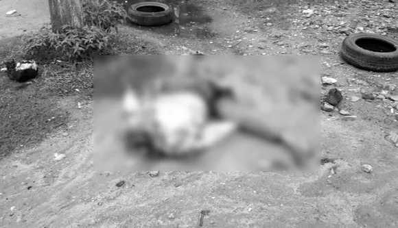 Assam Electrocution: CM Sonowal Orders Inquiry