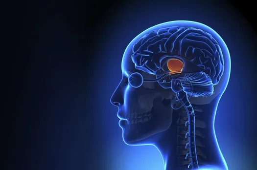 Brain Stroke Cases Increasing Alarmingly