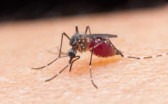 Meghalaya To Eliminate Malaria by 2030