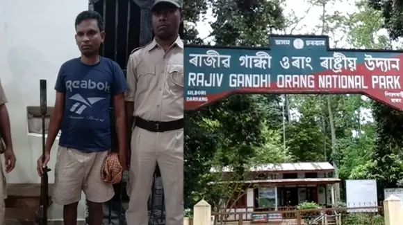 Rhino Poacher Arrested Near Orang National Park