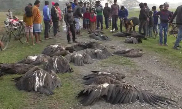 Vultures Death: GHC Passes Unique Verdict
