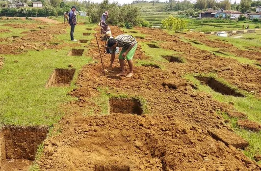 1.5 million saplings planted in Meghalaya
