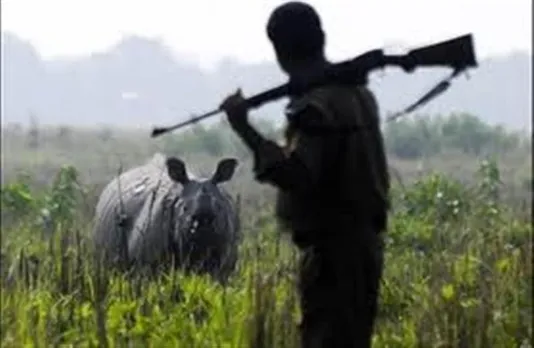 Absconding Rhino Poacher Arrested in Nagaland