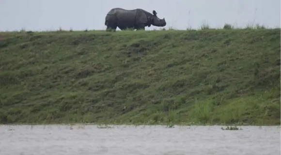 Govt. to Construct More Highlands in KNP