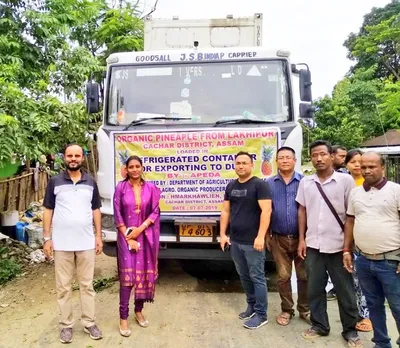 Assam pineapples headed for Dubai