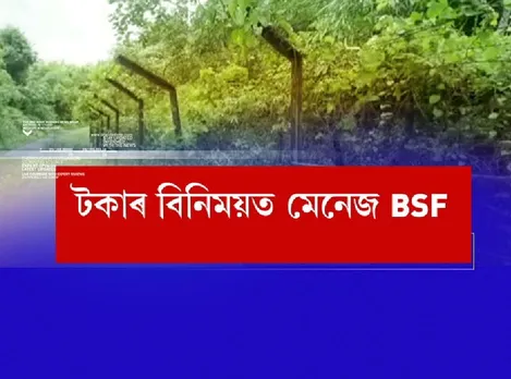 Cow theft Rampant in Indo-Bangla border