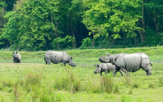 Centre Listed Kaziranga Among 17 Iconic Sites