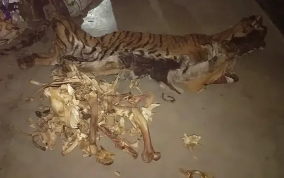 One held with tiger skin, bones in Howraghat