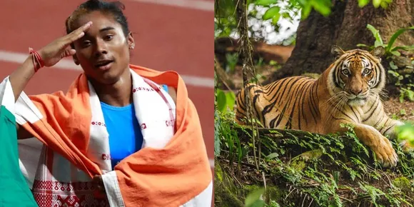 Tiger Cub Named After Hima Das in Bangalore