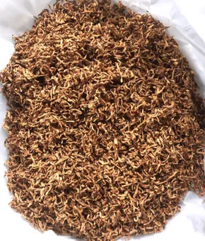 Record Rs 50,000 a kg tea in GTAC