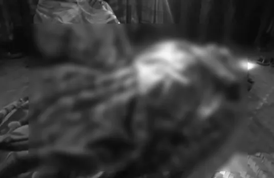 Wild Boar Kills Couple In Dhing