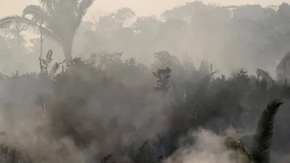 Amazon Rainforest: Brazil Ask Diplomats to Fix Image