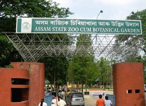Assam State Zoo Sees Gradual Increase in Visitor Count