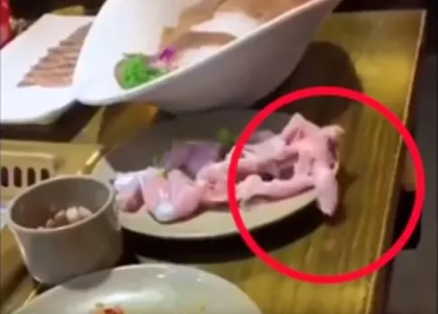 Raw chicken jumps off plate!