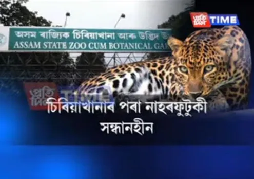 Leopard  missing in Assam state zoo