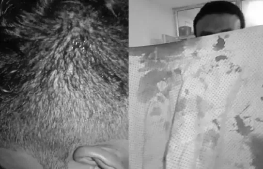 Liquor syndicate: Father-son duo attacked in Bokakhat