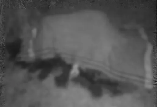 Mother, daughter killed in Doomdooma