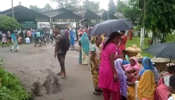 Tea Workers Stage Protest Against 20% Bonus