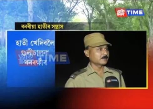 Wild elephant causes terror in Golaghat and Nagaon
