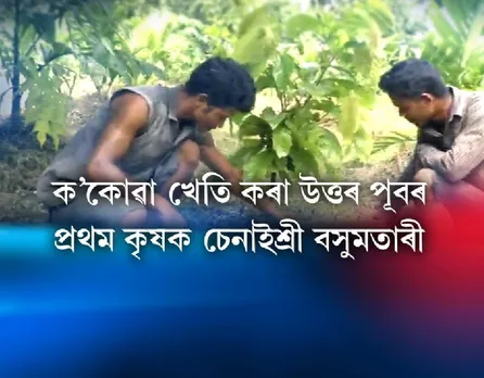 ‘Cocoa’ – A New craze for Goalpara Farmer