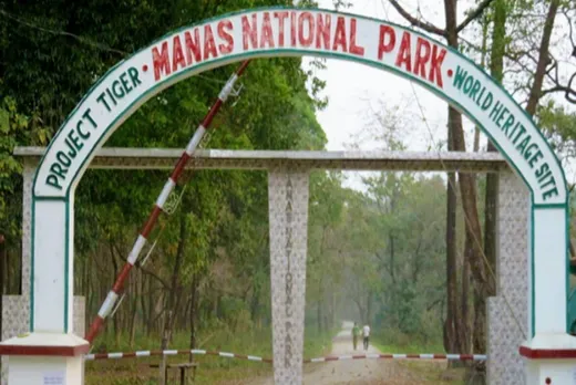 Manas National Park To Reopen from Today