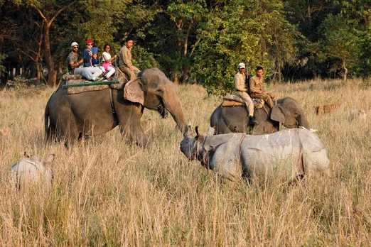 Opening Date of Pobitora Wildlife Sanctuary Postponed