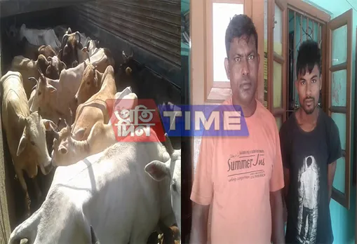 Cow laden truck seized in Jorabat