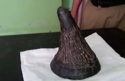 AGP leader allegedly involved in rhino poaching