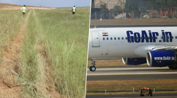 Flight Takes Off From Grass: Pilot Suspended