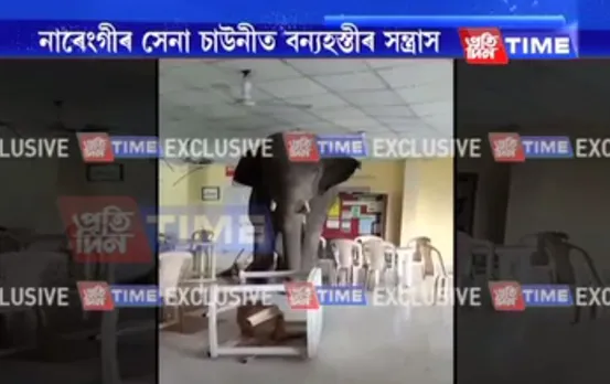 WATCH | Elephant enters Narengi Army canteen