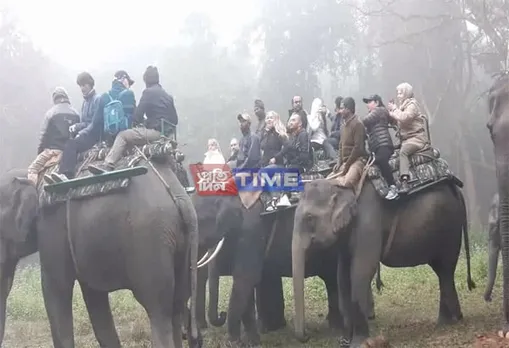 Kaziranga Is Full Of Foreign Tourists: Picture Story