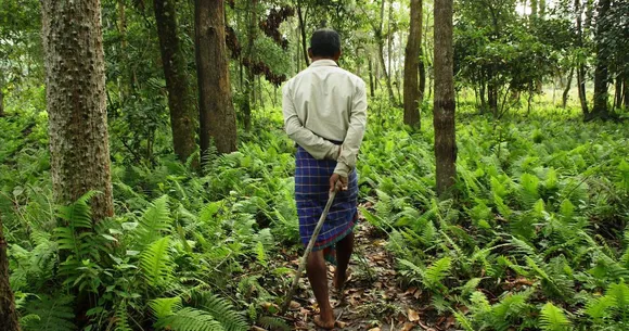 Jadav Payeng Plans a book on Environment