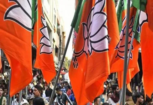 BJP to contest BTR election alone