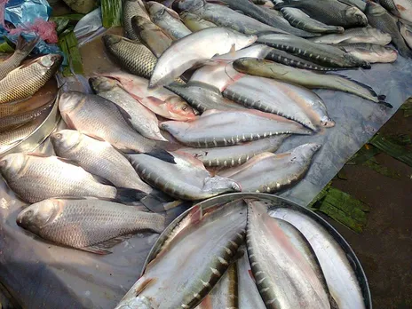 Lockdown: Want to buy fresh fish in Guwahati?