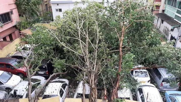 Cyclone Amphan: At least 72 Dead in West Bengal