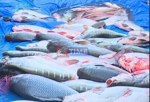 Lockdown 3.0: Fish Markets To Remain Closed